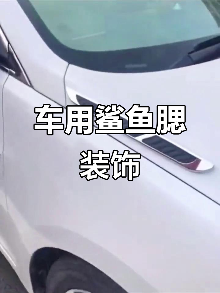 鲨鱼腮贴让车子瞬间升级,颜值爆表!