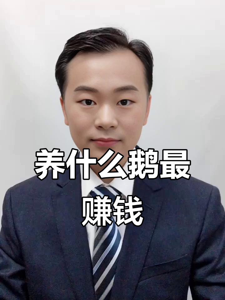 哪种鹅最能多产蛋?养大品种还是小品种更划算