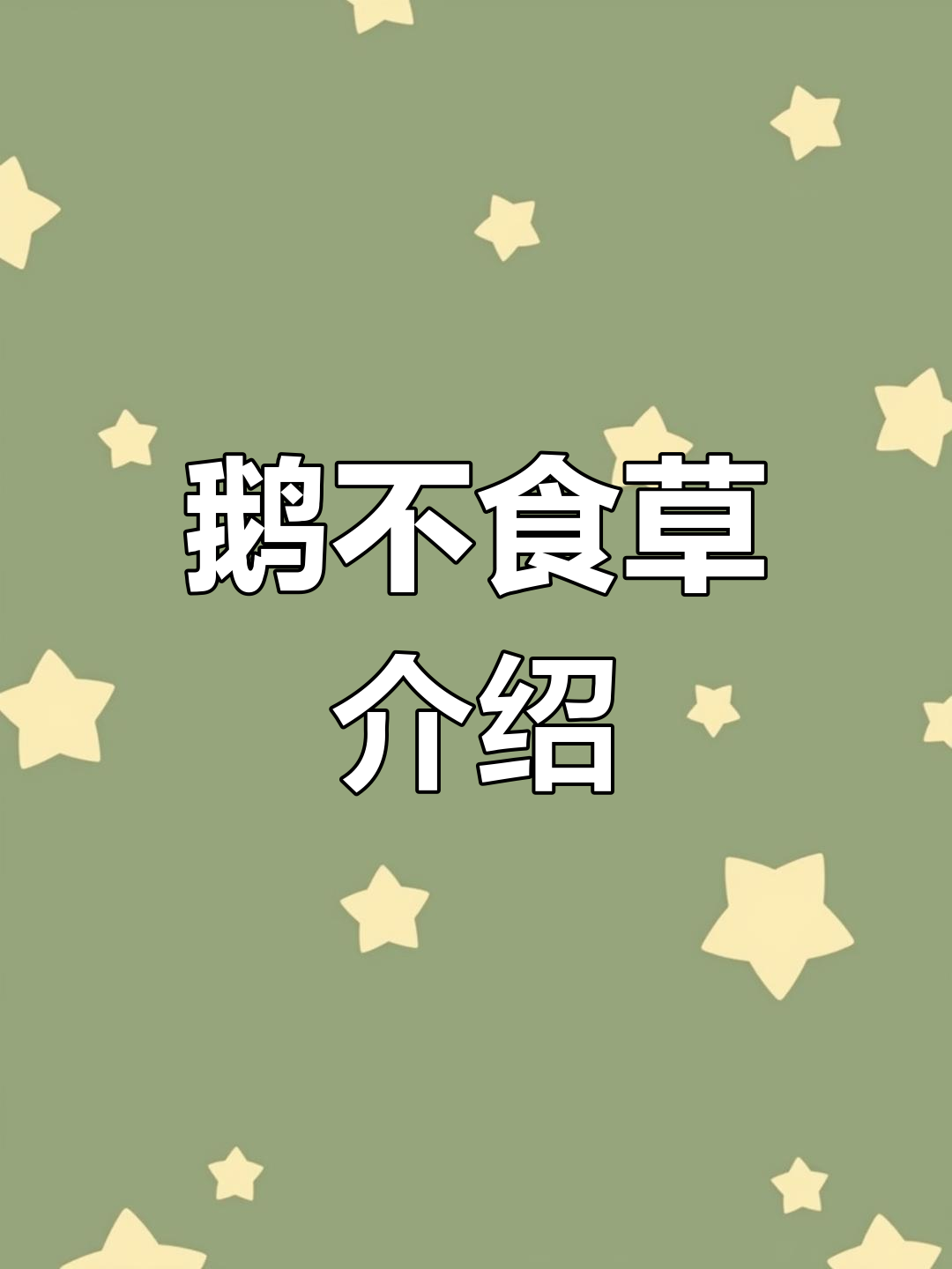鹅不食草的独特特性与应用