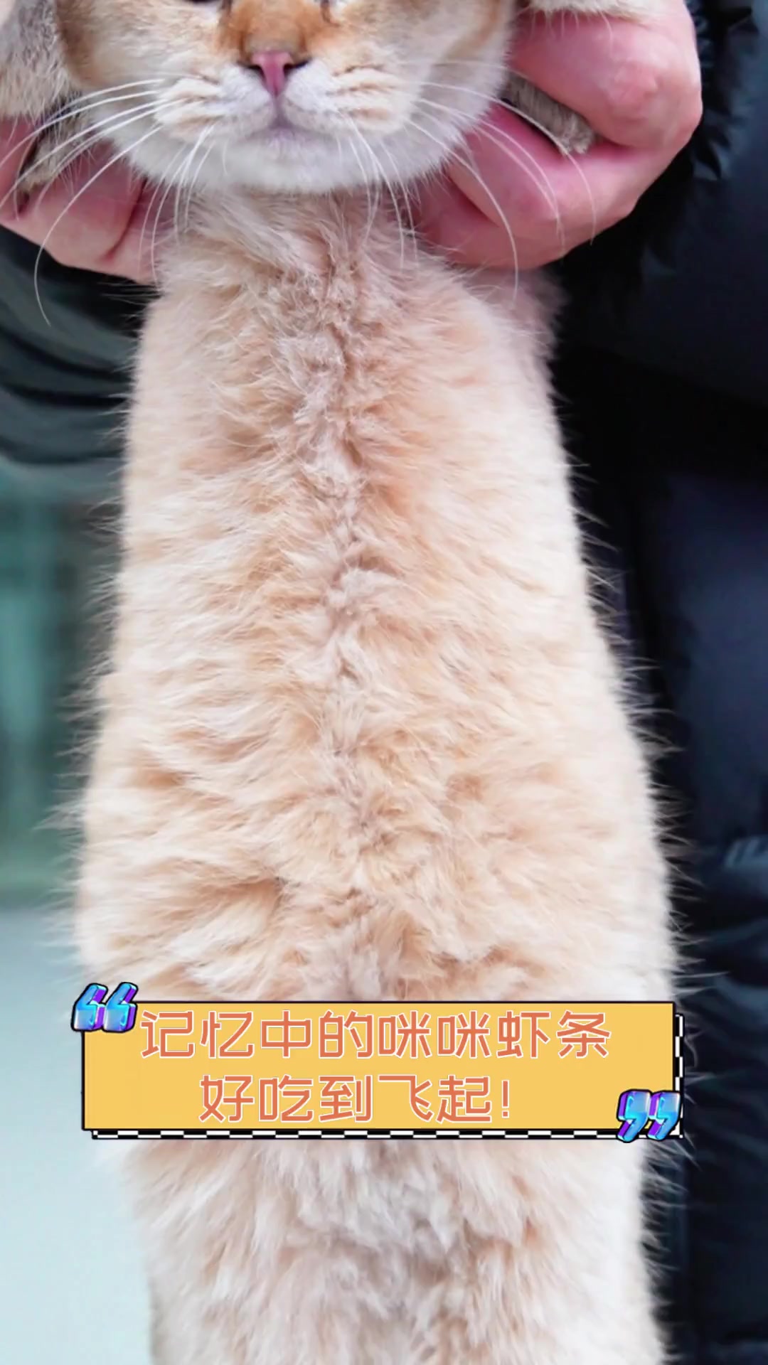记忆中的咪咪虾条,好吃到飞起!