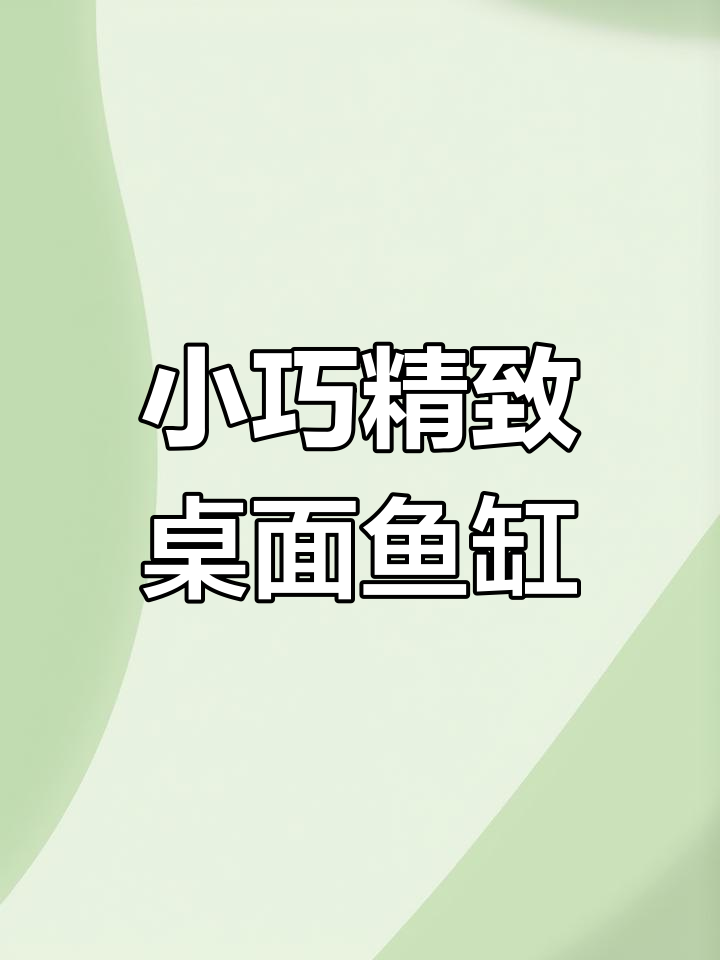 桌面小鱼缸全套造景,迷你生态鱼缸完美搭配