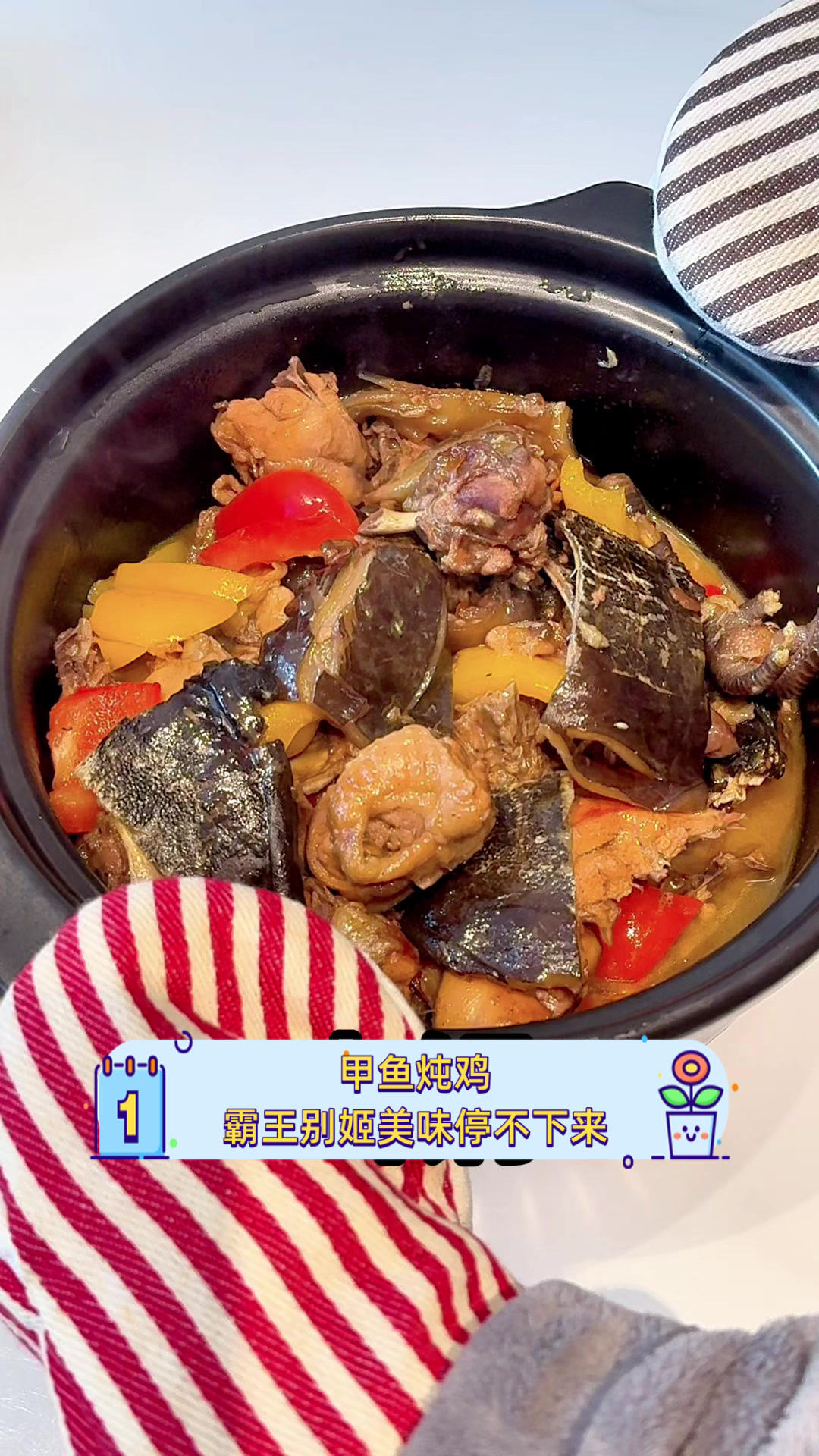 甲鱼炖鸡，霸王别姬美味停不下来