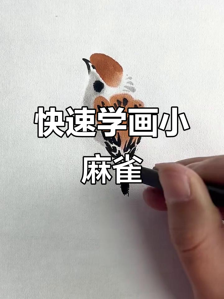 一分钟学会画麻雀,简单又有趣