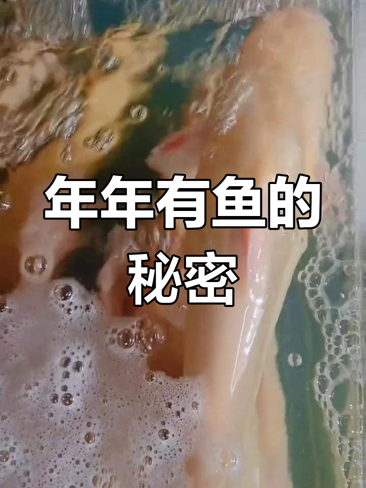 云南正宗红鮰鱼,年味满满,好运连连