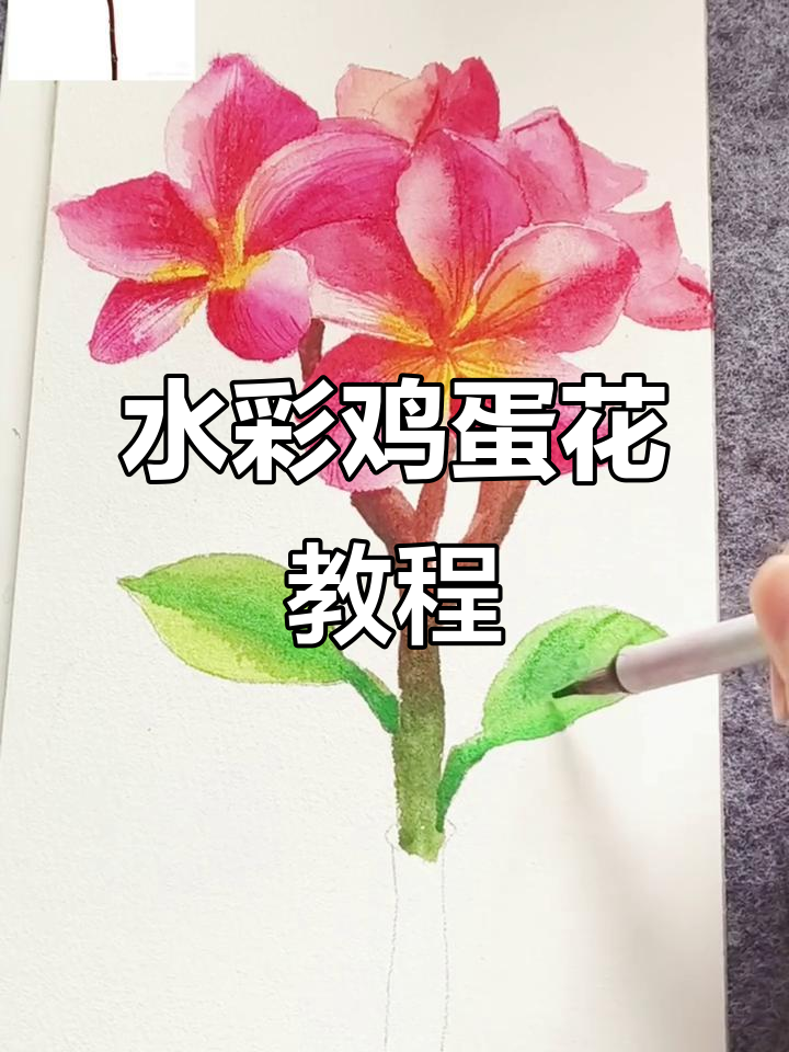 入门水彩画:鸡蛋花花朵绘制技巧