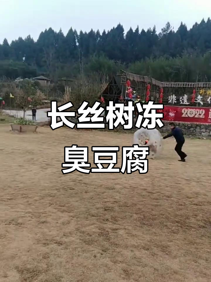 长沙火宫殿臭豆腐,闻起来臭但吃起来香