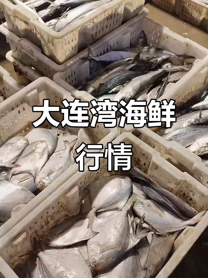 大连湾海鲜市场最新价格,片口鱼和小鲳鱼超值优惠
