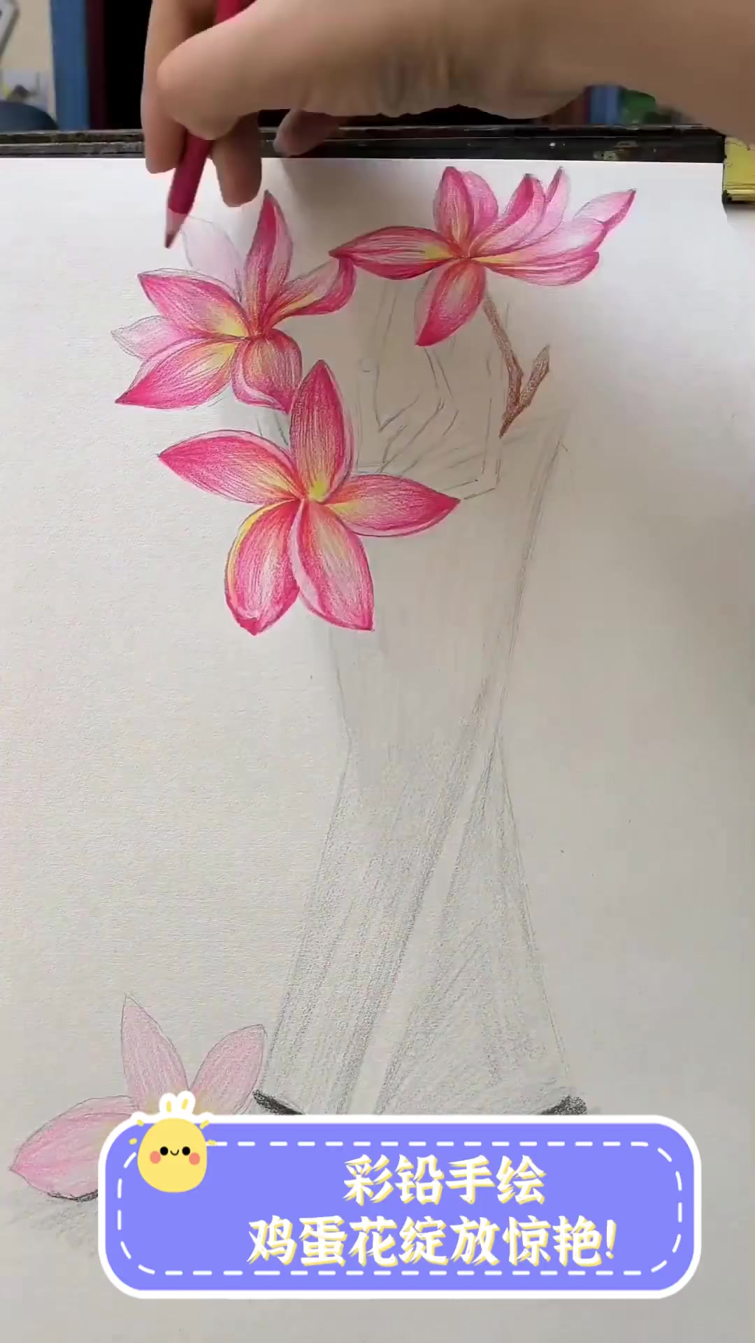 彩铅手绘,鸡蛋花绽放惊艳!