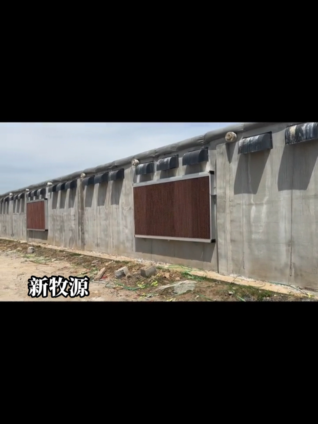 标准化肉鸡养殖大棚