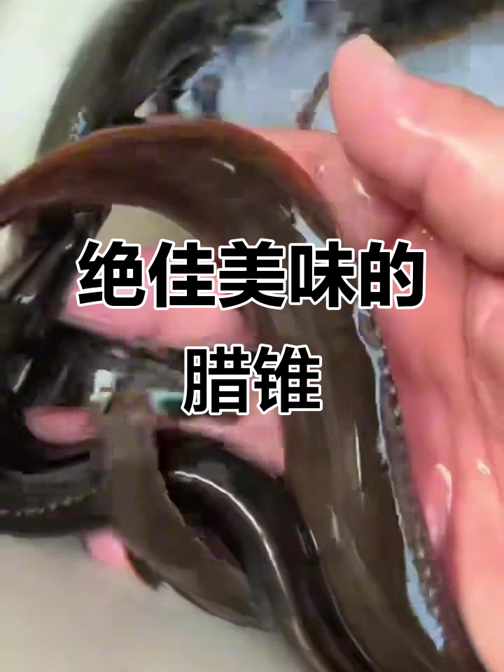 刺鳅与辣锥:稀有美味,水质要求极高的野生鱼
