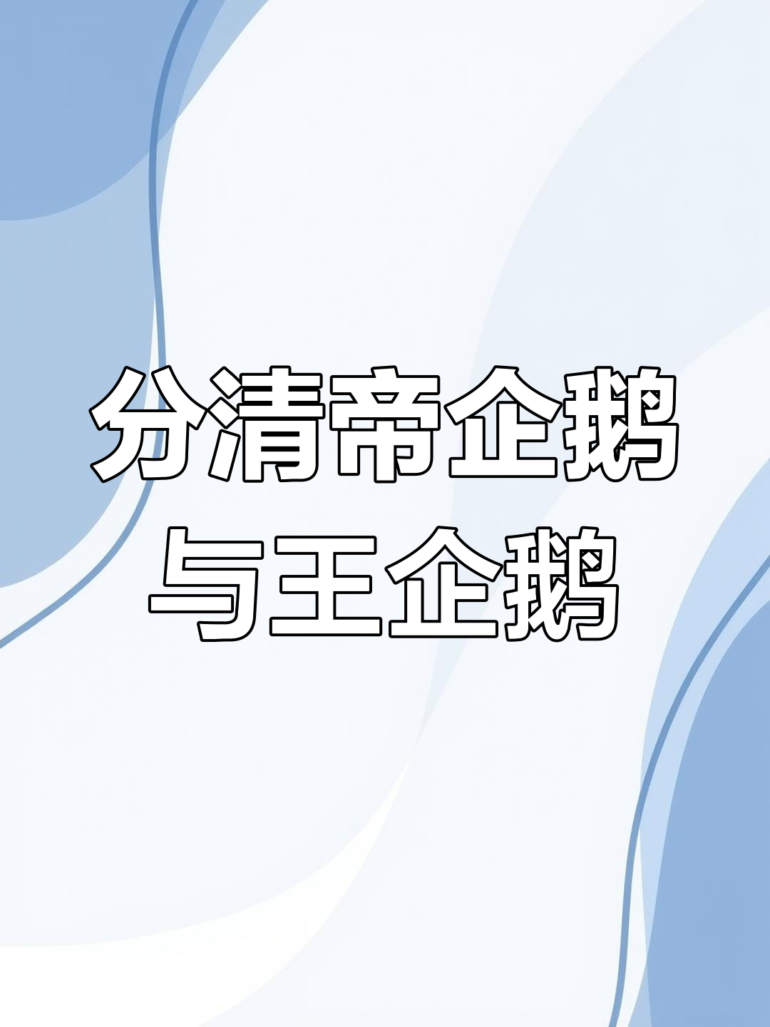 帝企鹅和王企鹅大比拼,谁能更胜一筹?