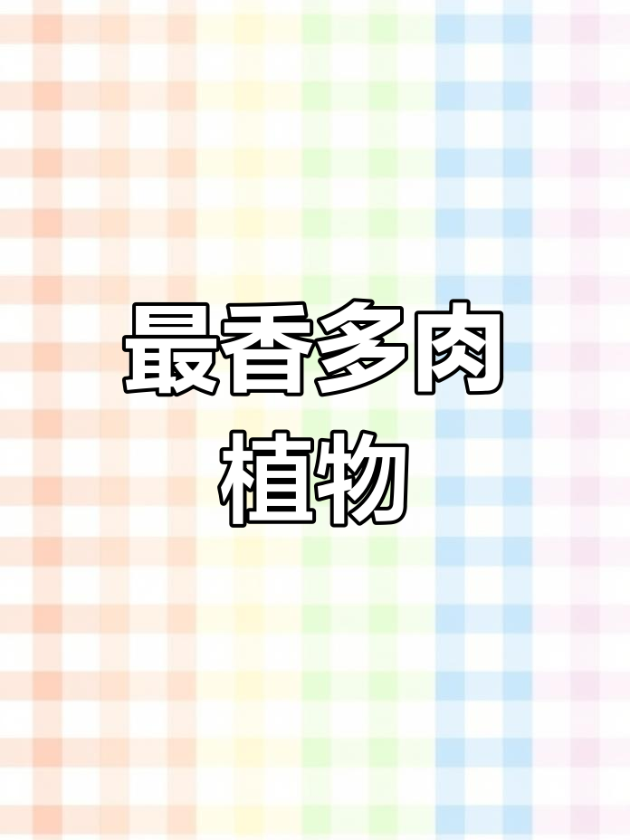 千丝列兰:最神奇的多肉植物,香气四溢的天然香水