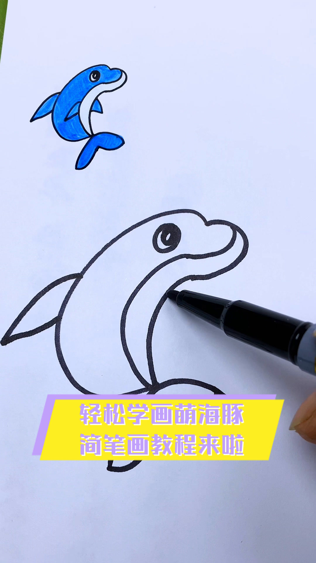 轻松学画萌海豚,简笔画教程来啦
