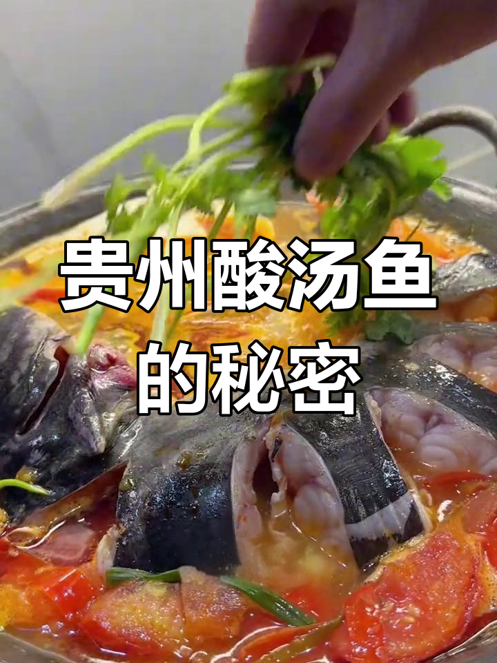 贵州酸汤鱼,独特风味让人回味无穷!