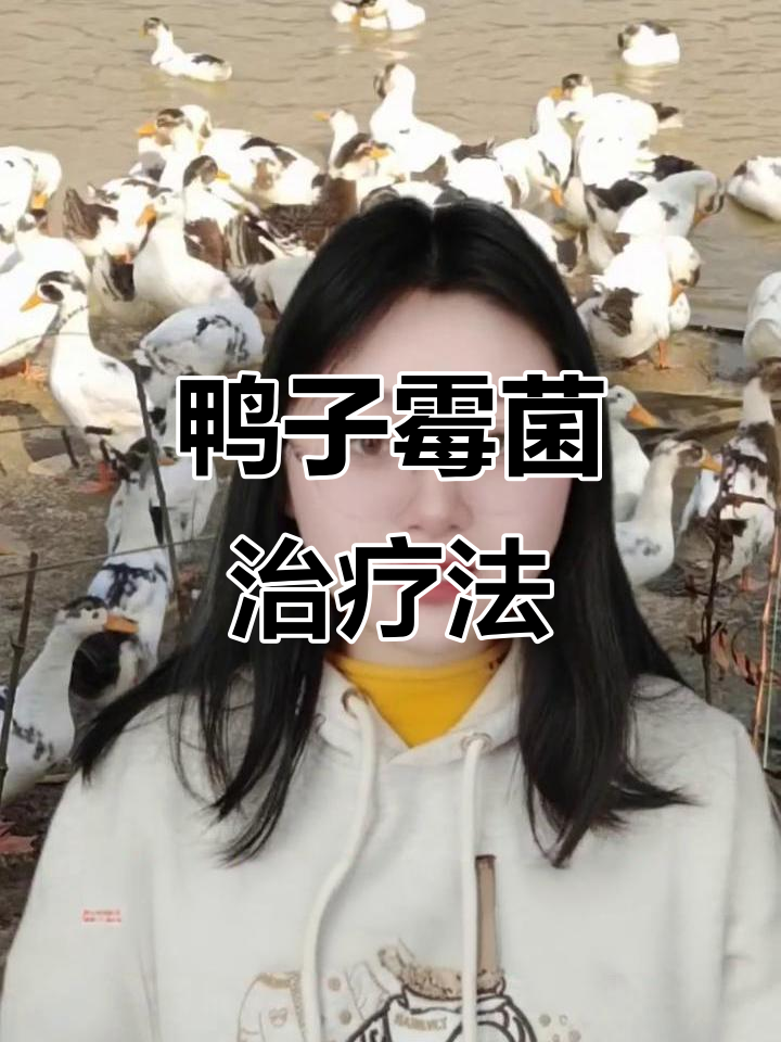 鸭子霉菌感染症状及治疗方法,拉稀、腹水如何应对?
