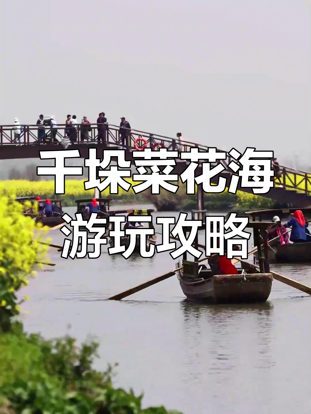 3月下旬千垛菜花盛开,万亩油菜织就田园美景