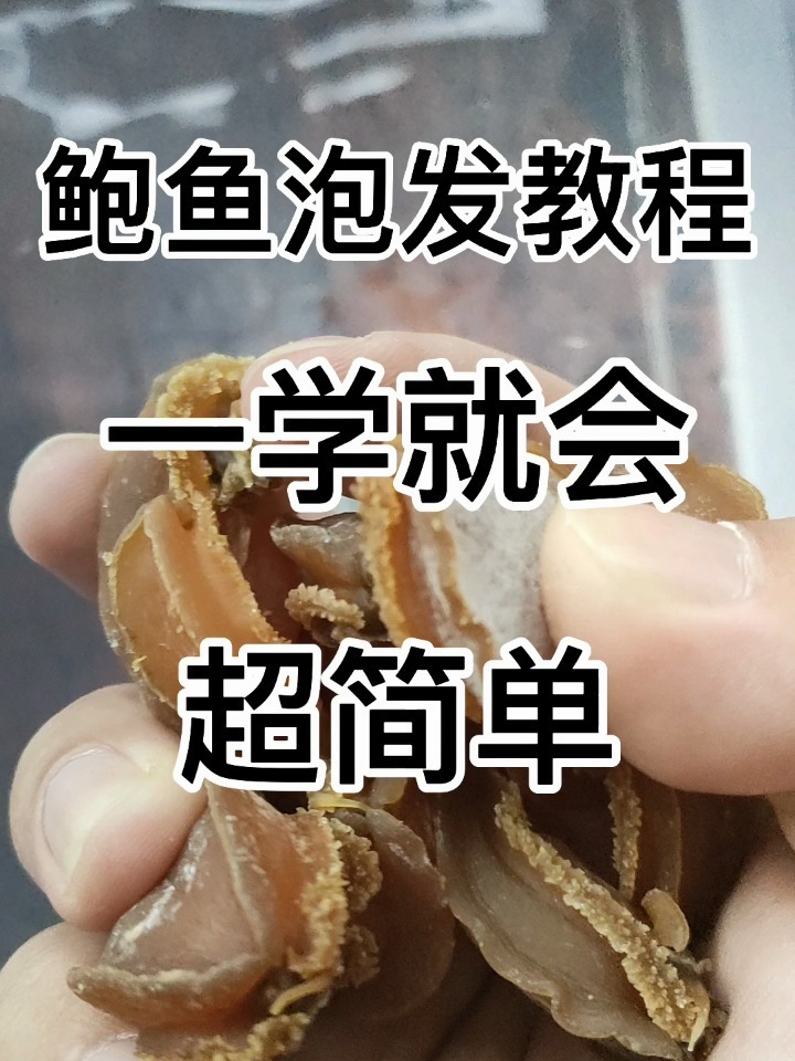 鲍鱼泡发教程 跟着学 很简单