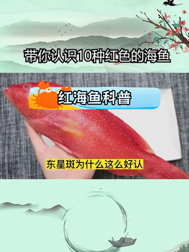 红色海鱼种类大揭秘,10种常见品种解析