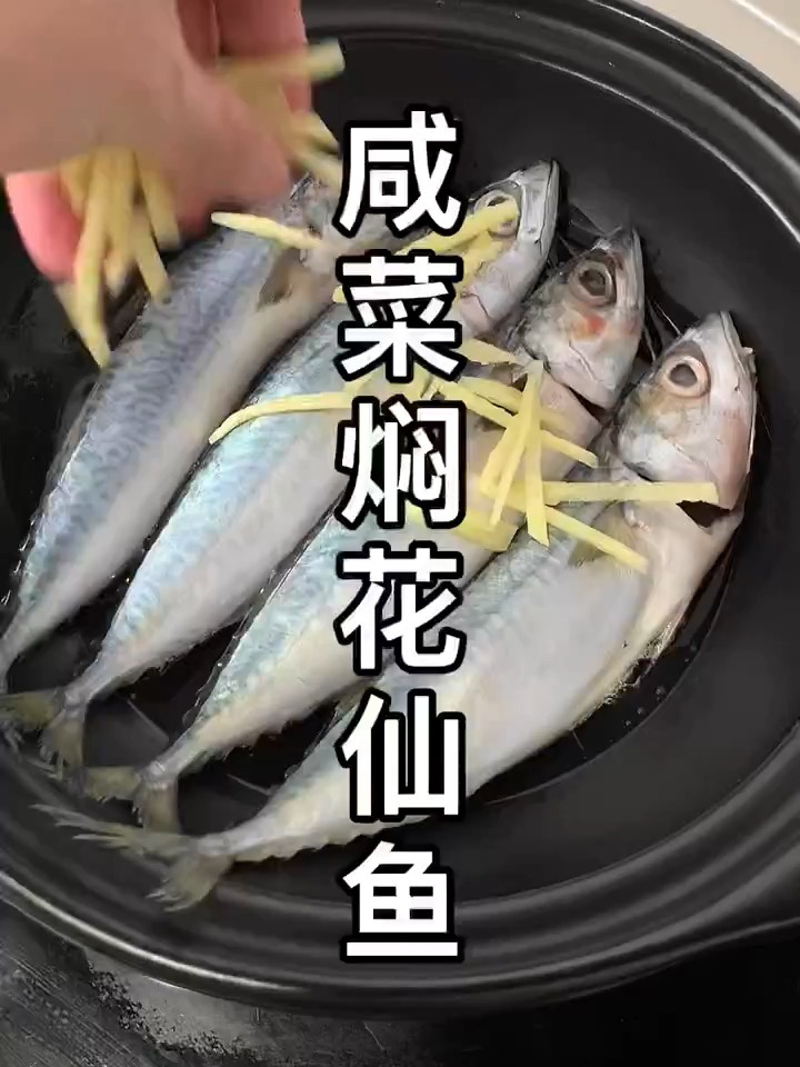 青花鱼,鲭鱼,潮汕人花仙鱼,咸菜焖花仙鱼