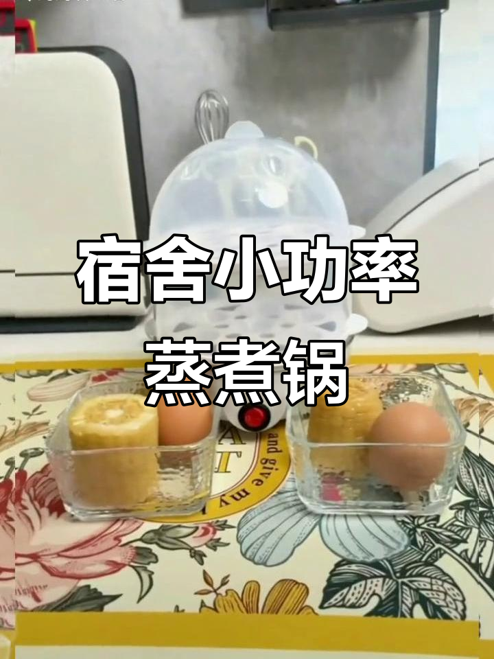 小巧蒸煮锅,自动断电,宿舍必备,省心又实用