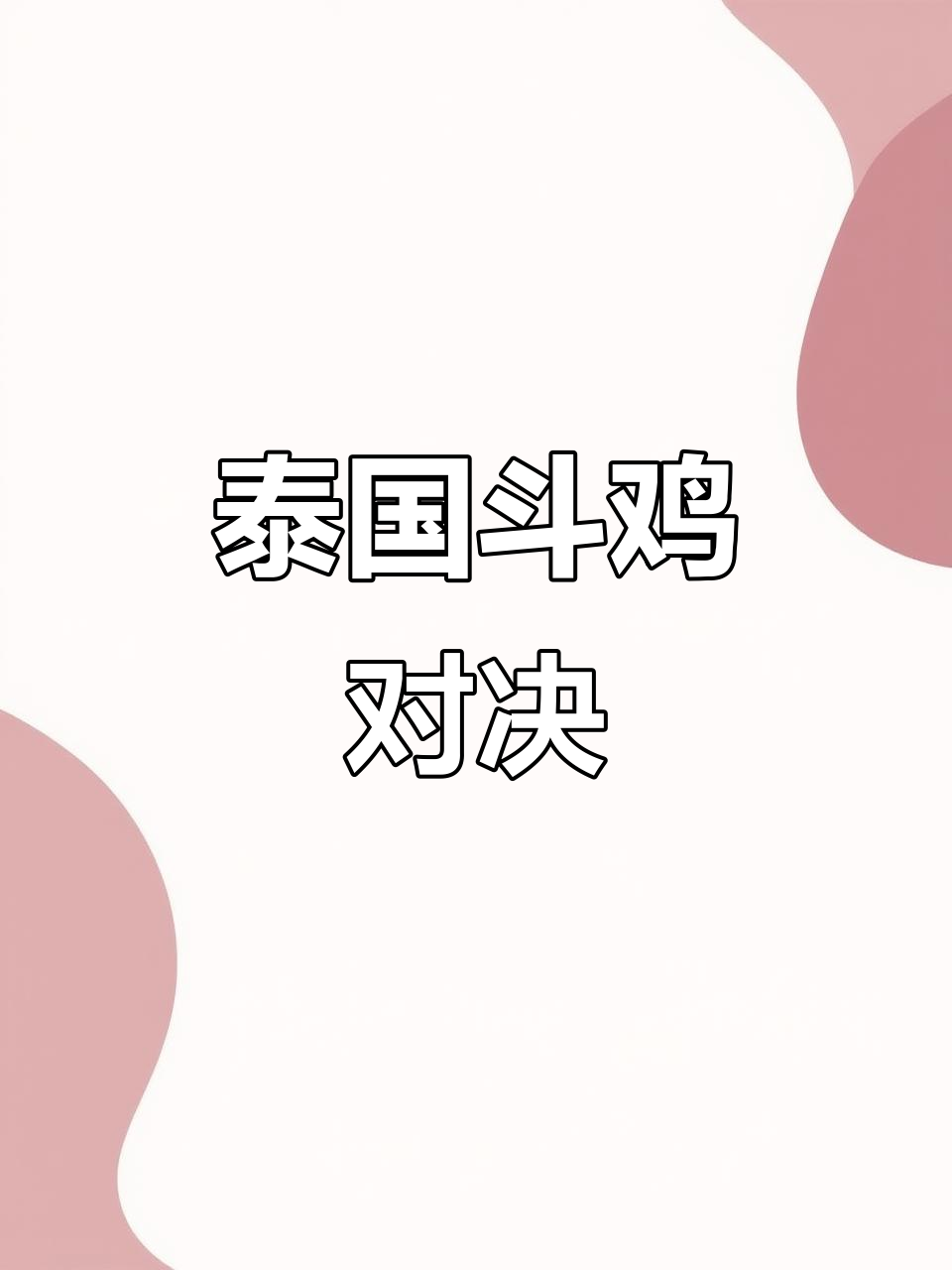 泰国进口斗鸡大比拼,黑黑骑士身材无敌