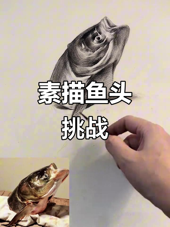 一起动手画鱼头,素描练习开始!