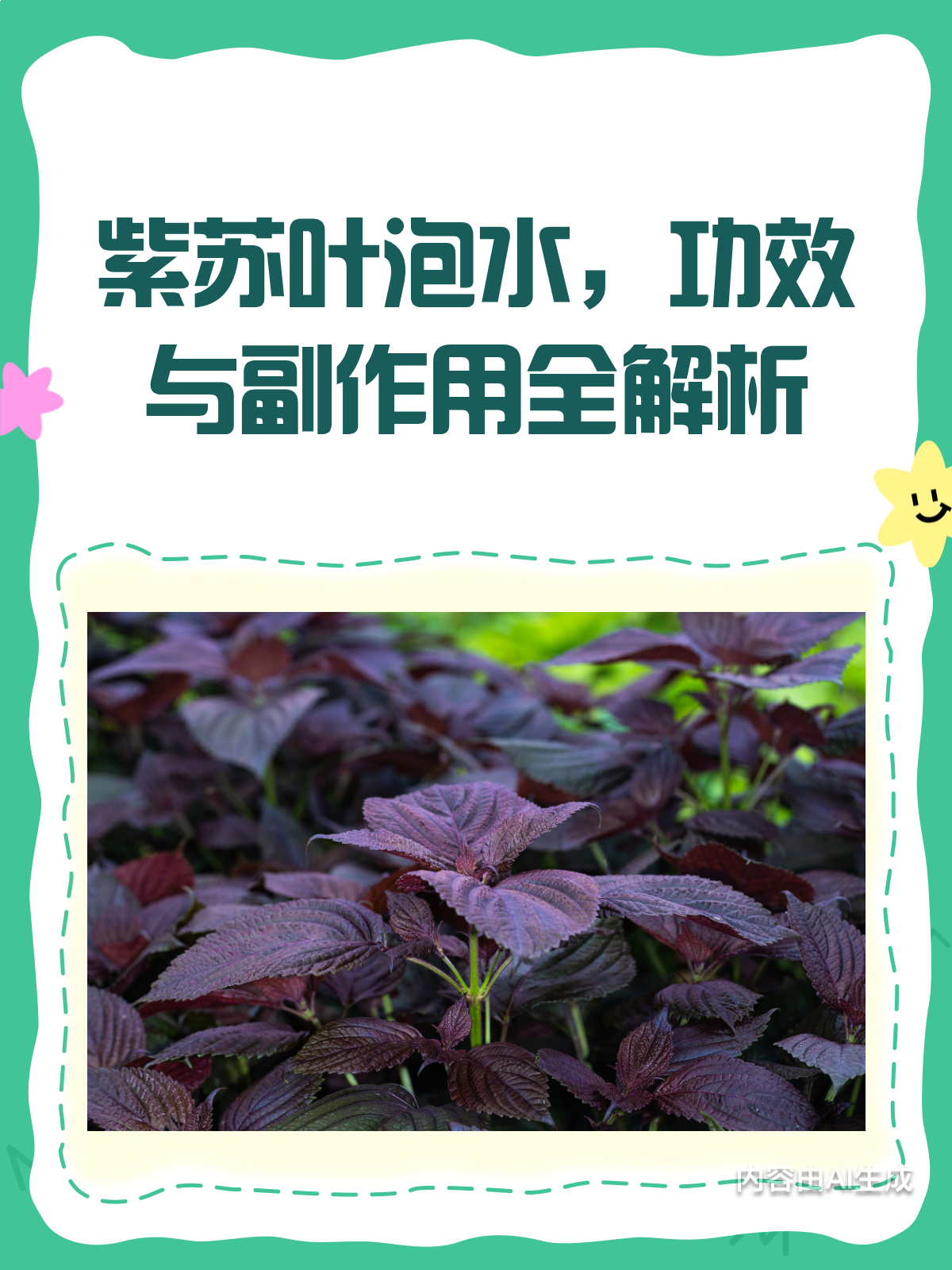 紫苏叶泡水好处多?但这些副作用得知道!