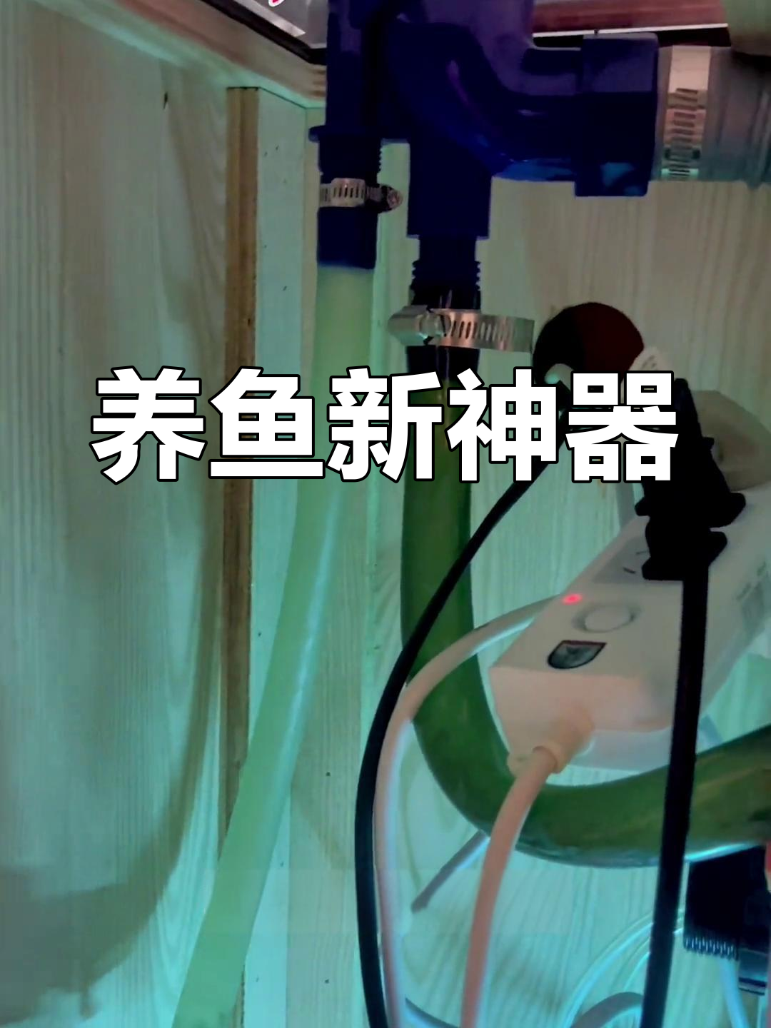 鱼马桶让养鱼更省心,视频创作分享!