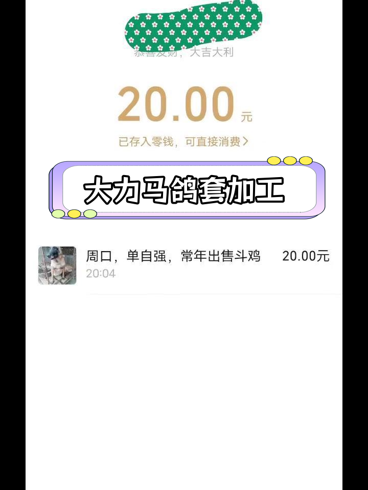 鸽子套制作教程,大力马鱼线四股搓合