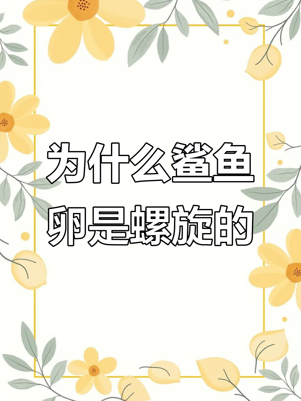 鲨鱼卵为何呈螺旋形?揭秘三种独特繁衍方式