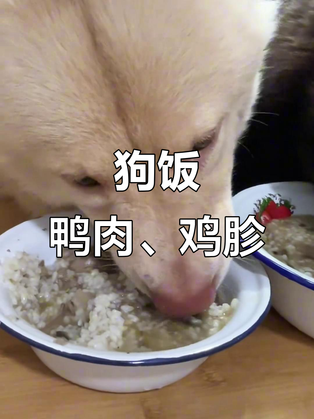 狗狗的鸭肉鸡胗大餐,冬瓜茄子做配菜