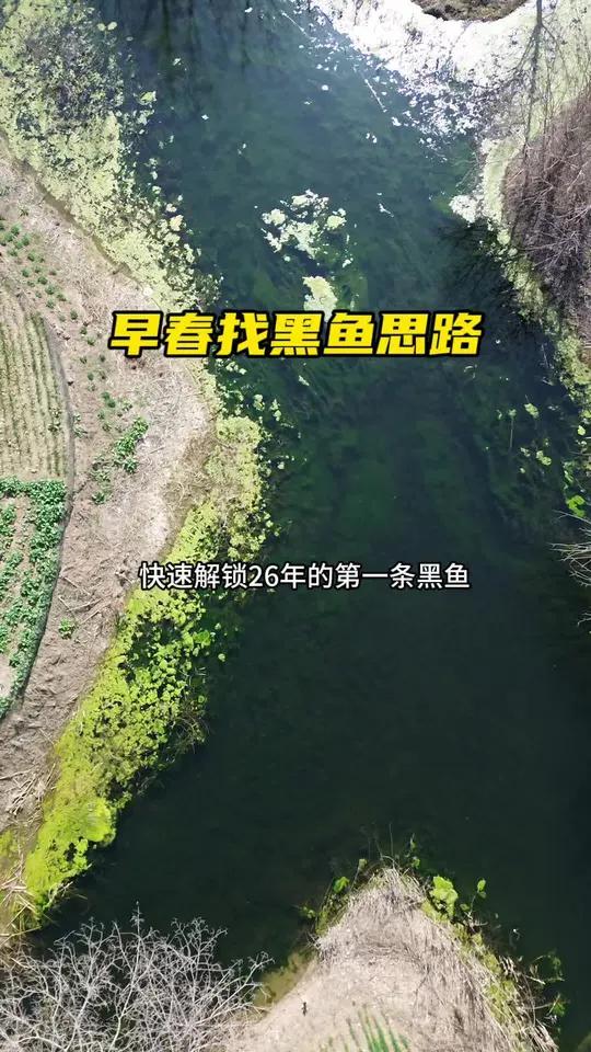 新手也能快速解锁26年第一条黑鱼的找鱼思路 早春打黑找鱼技巧，连续升温的天气，最高温度15