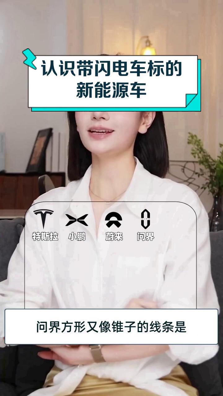 认识带闪电车标的新能源车