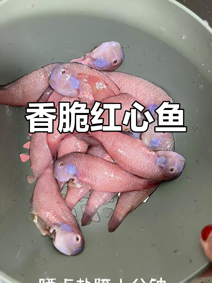 红心鱼外酥里嫩,煎炸后口感极佳