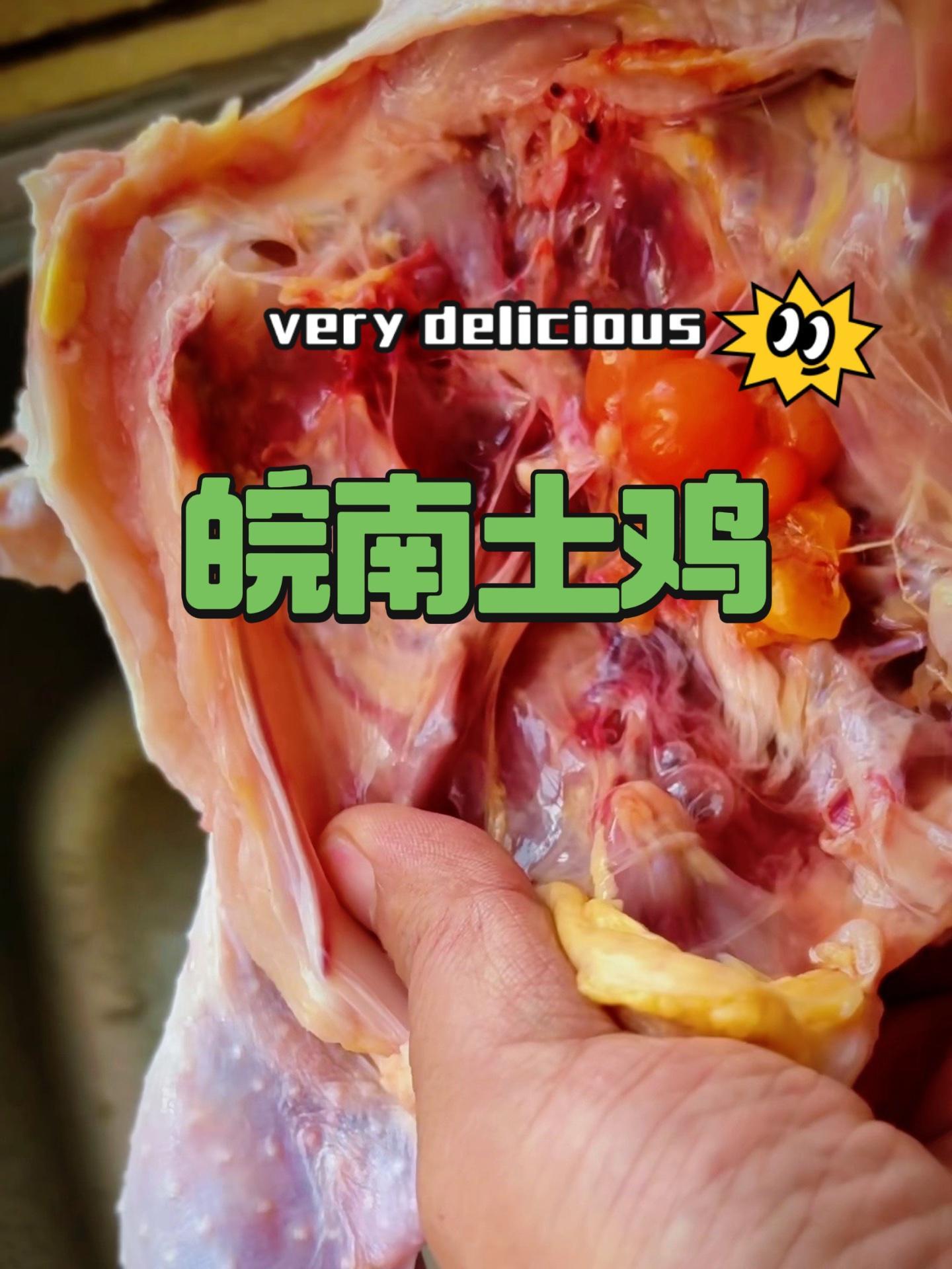 皖南山林土鸡 皮厨大叔美食 童子鸡和炖汤母鸡各一只,活鸡宰杀后新鲜速冻,肉质细嫩紧实