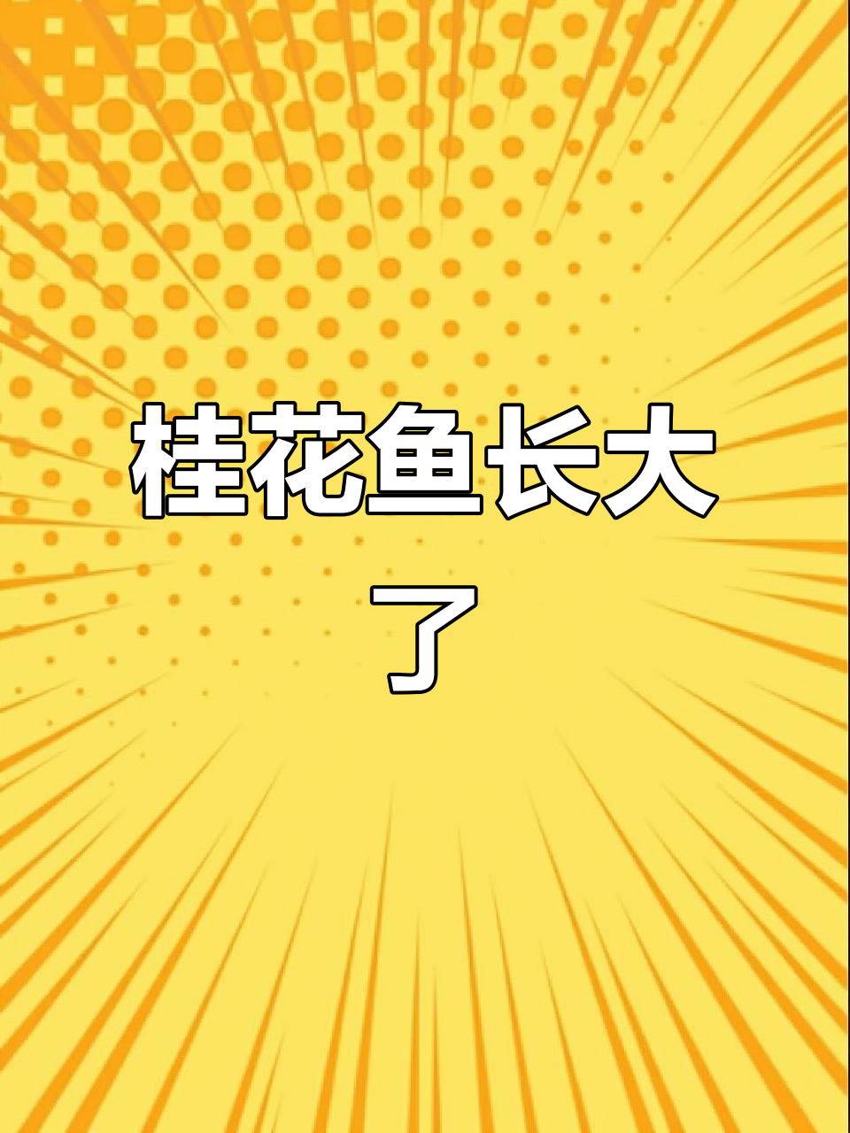 鱼苗长成大桂鱼,看看这些玫瑰鳜鱼的成长变化