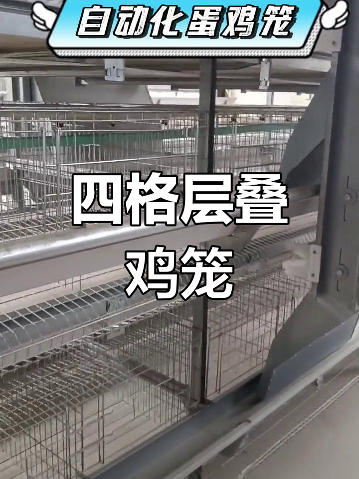 自动养鸡设备:四格层叠蛋鸡笼介绍