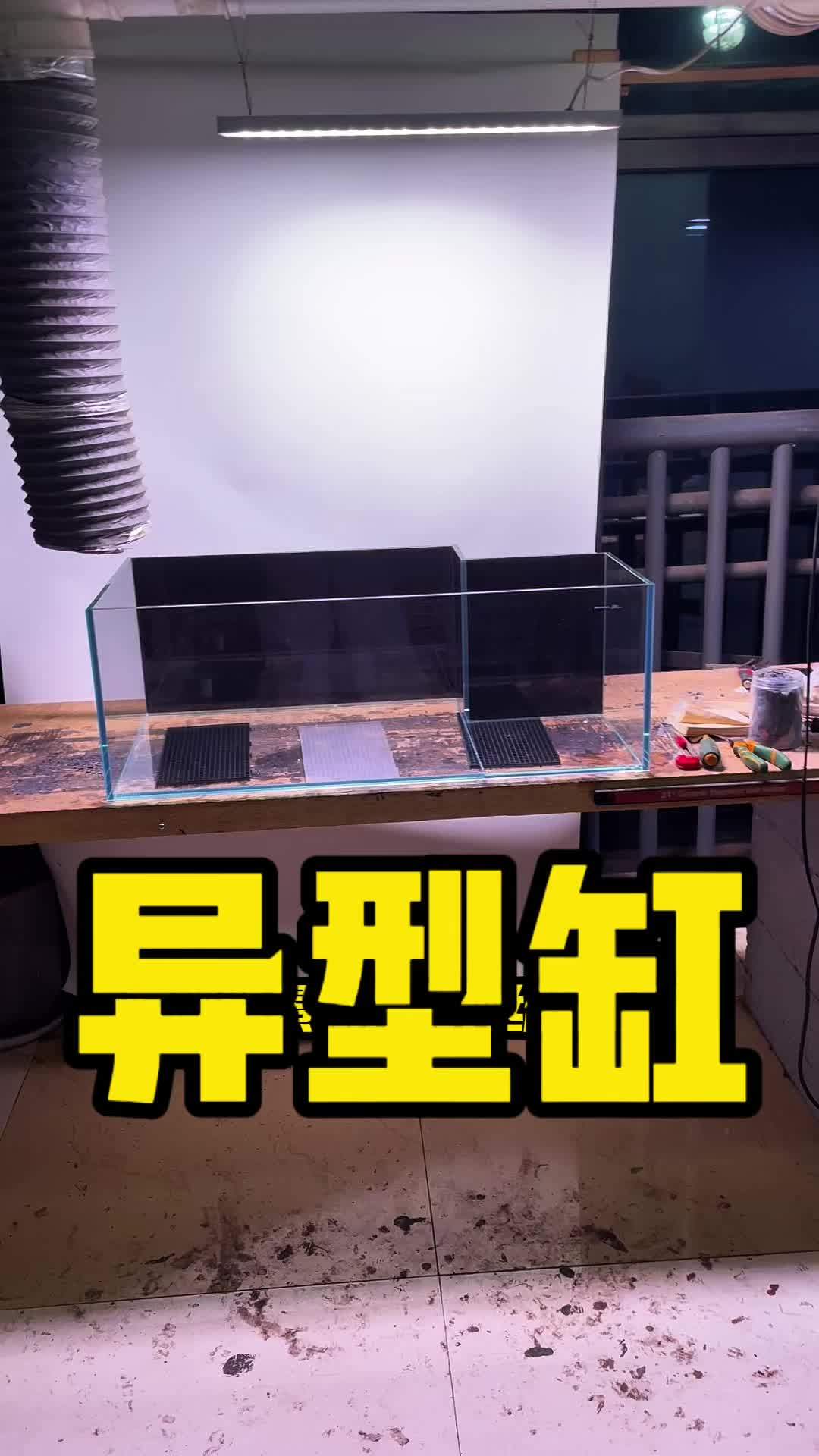 拐弯鱼缸你们见过么?!不管什么缸,别问,问就是能做!水族 鱼缸里的大自然 养鱼 造景
