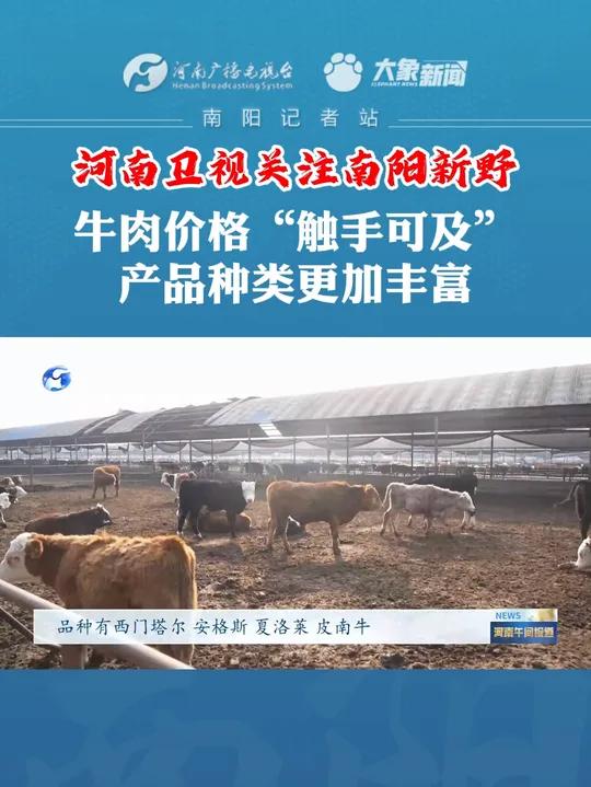 牛肉价格“触手可及” 产品种类更加丰富 南阳 新野