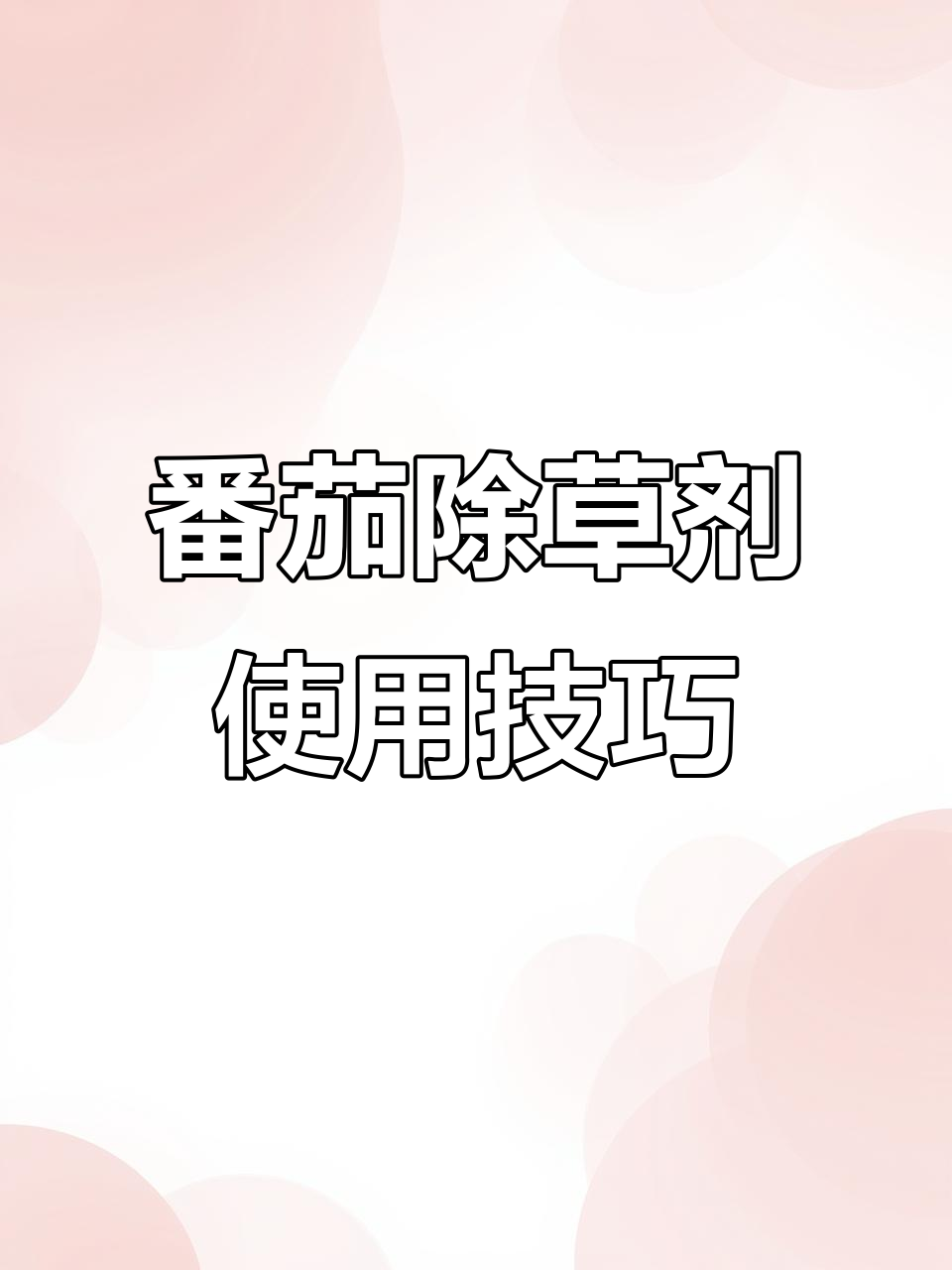 西红柿除草剂使用心得,大叶灰菜效果不佳