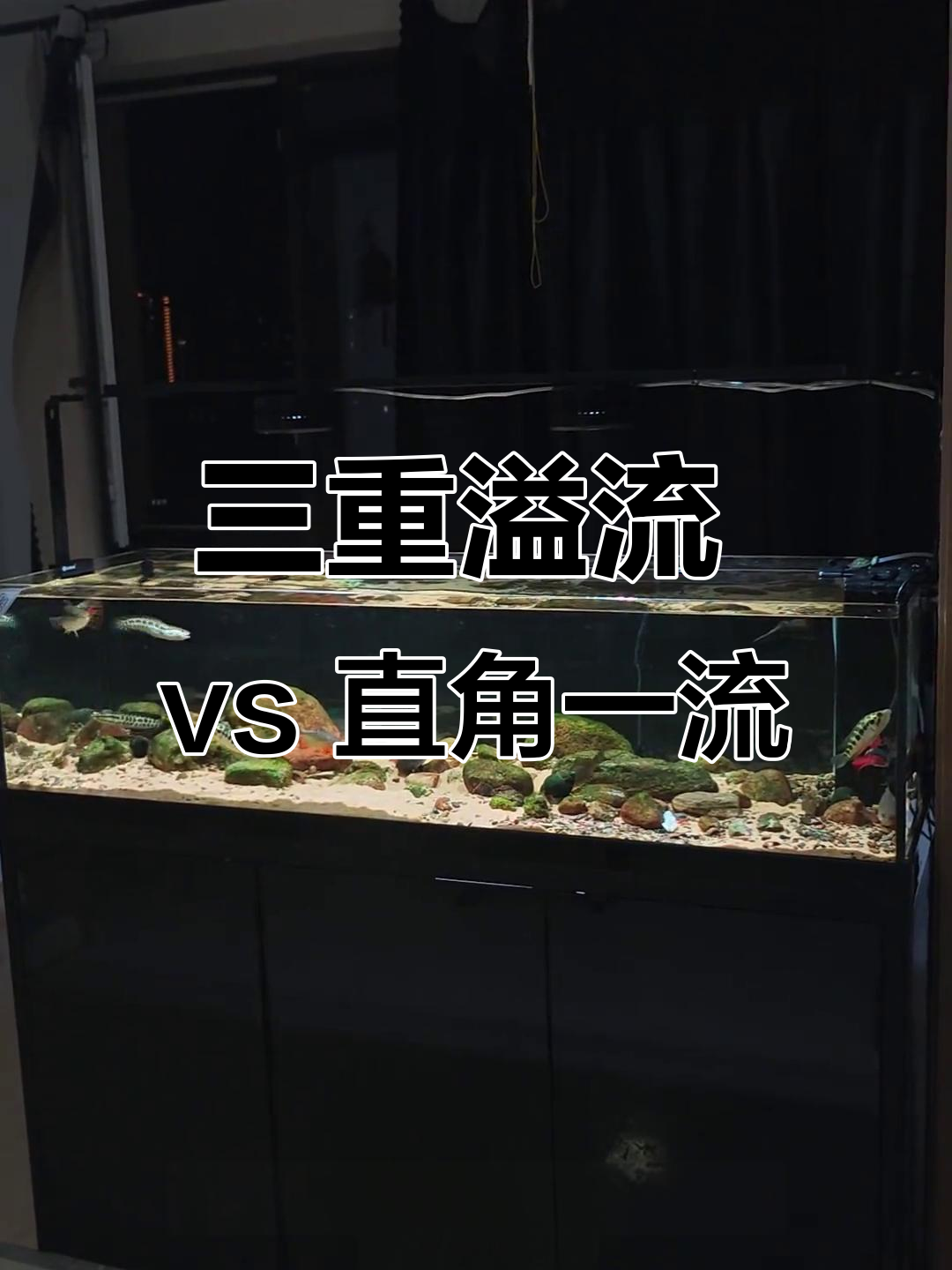 底滤鱼缸选购指南:三重溢流与直角一流的区别