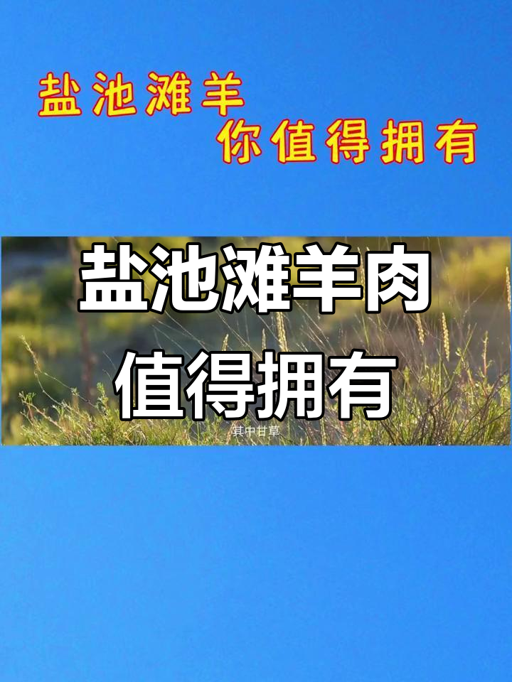 宁夏盐池滩羊肉,肉质鲜美不容错过!