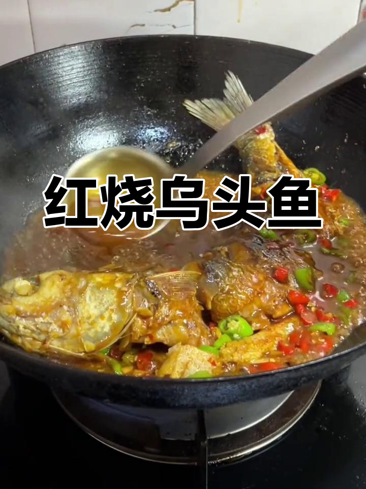 乌头鱼红烧做法,家常美味又下饭