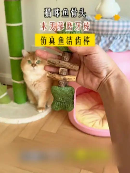 猫咪无法抗拒的鱼骨头