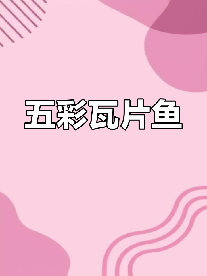 池塘边常见的小鱼,五颜六色美丽至极