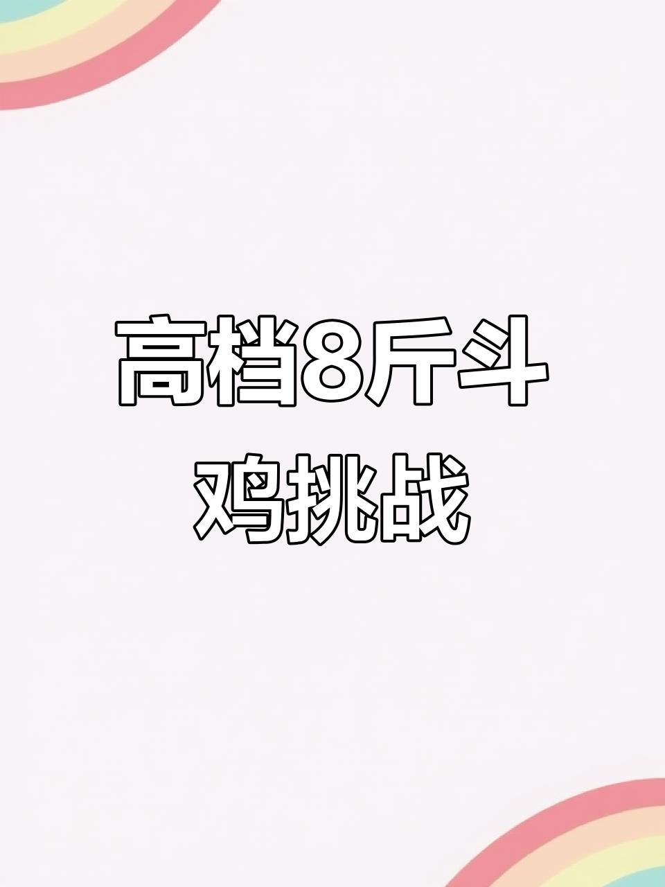 新疆斗鸡大赛必备,八斤高档鸡挑战极限