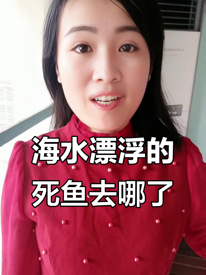 日本海面死鱼成堆,究竟流向何处?