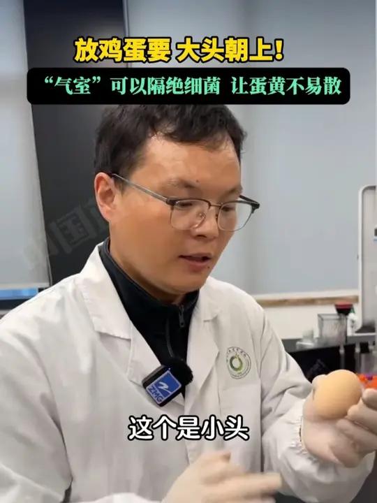 放鸡蛋时要大头朝上！专家说：大头这边的 “气室”可以保护鸡蛋，有助于更好地保存鸡蛋