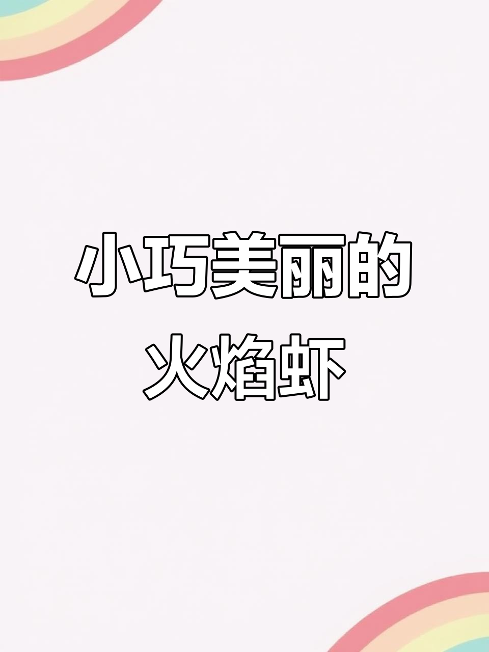 极火虾与樱花虾:美丽又低维护的水族宠物