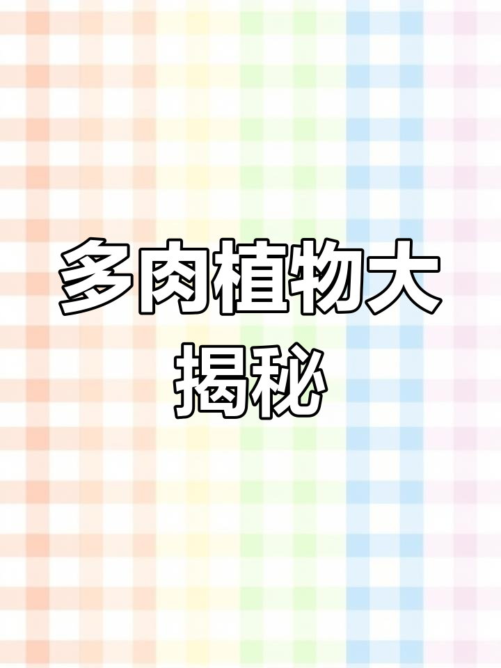 探索荷兰圆叶法师锦,感受多肉植物的独特魅力与历史